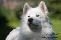 1Y6H0485.JPG (246.94 KiB) 61018-mal betrachtet 1Y6H0485.JPG